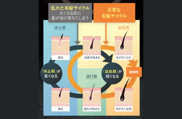 ハーバニエンス　口コミ